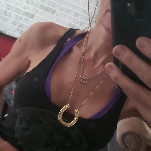 HOUSE OF HARLOW HorseShoe pendant necklace - Picture 7 of 7